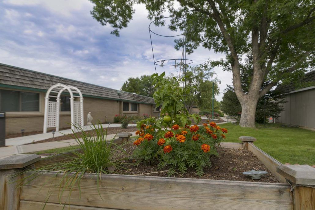 A vibrant garden with orange flowers in a raised bed, set against a backdrop of trees and a cloudy sky.