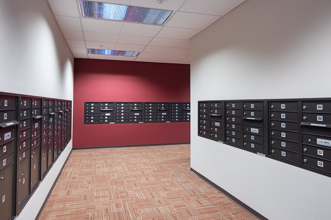 A hallway lined with black mailboxes inside a building.