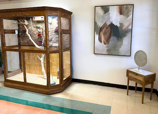 A corner of a room featuring a wooden display case, abstract wall art, and a simple table.
