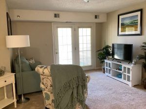 Cozy living room with a sofa, TV, and natural lighting.