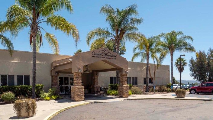 A sunny day view of a building entrance surrounded by palm trees.