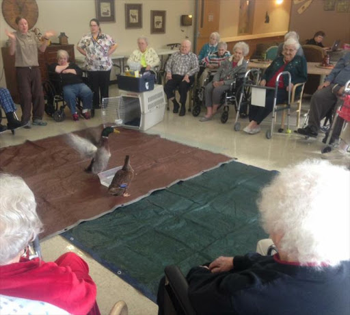 Cedar Manor Nursing Home