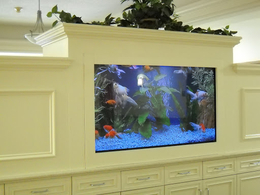 A stylish built-in aquarium displaying colorful fish in a modern interior setting.