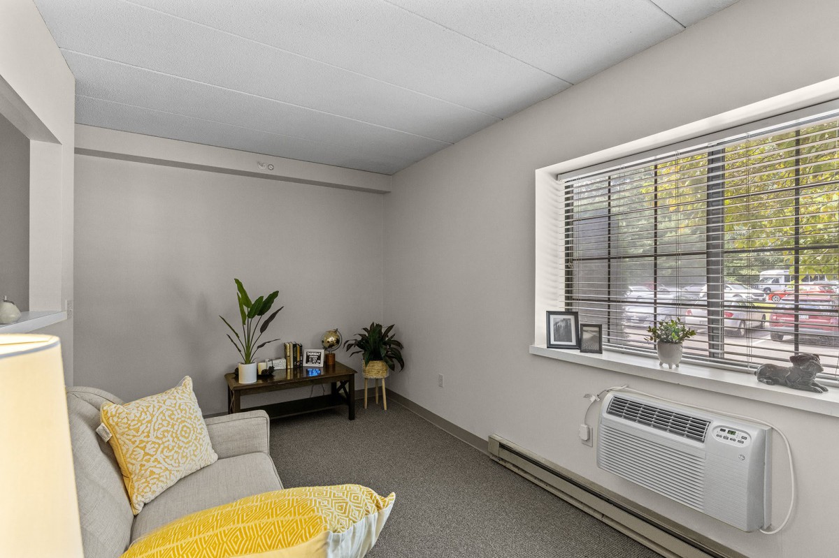 A cozy living room with a sofa, indoor plants, and a window letting in natural light.