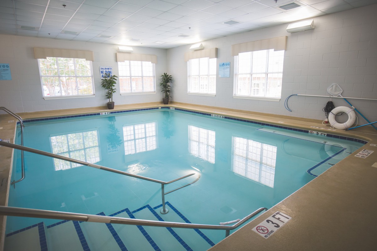 A serene indoor swimming pool with steps and handrails, surrounded by large windows and potted plants.