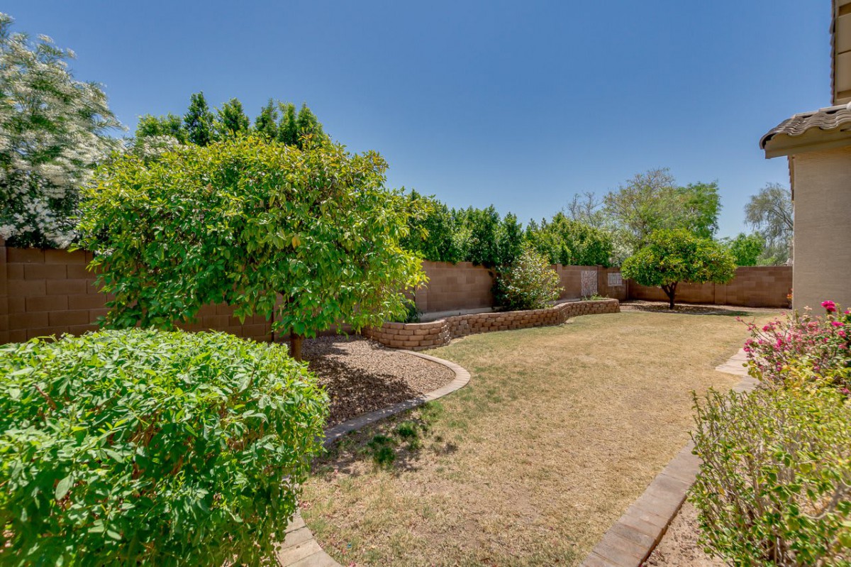 A sunny backyard garden with lush trees and grassy areas surrounded by a brick wall.