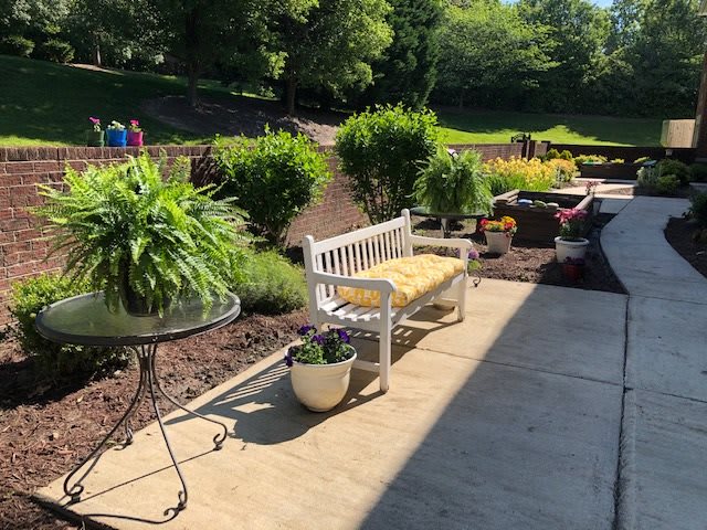 A sunny garden patio with a white bench and potted plants.