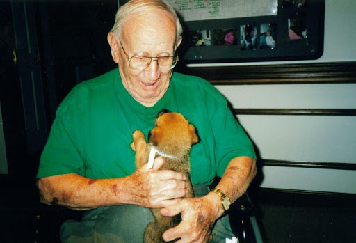 An elderly man joyfully interacts with a playful puppy, showcasing a heartwarming moment of companionship.