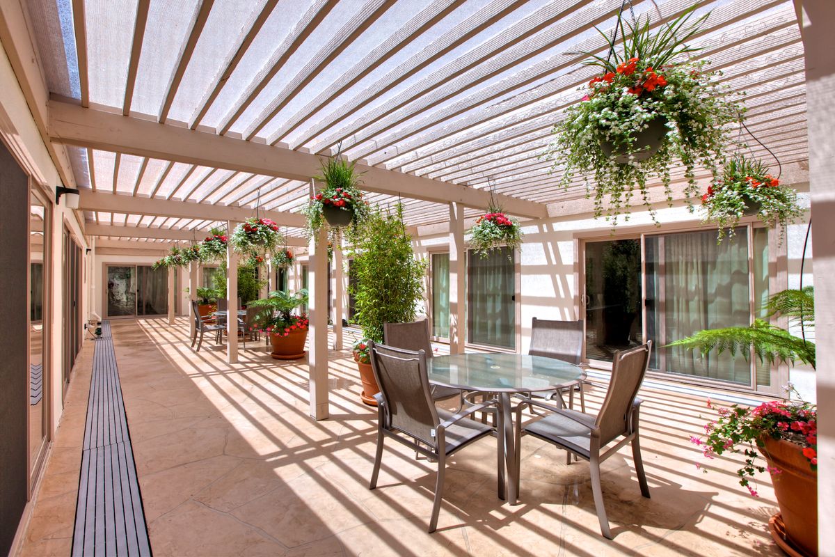 A sunlit patio area with a pergola, featuring a table and chairs surrounded by hanging and potted plants.