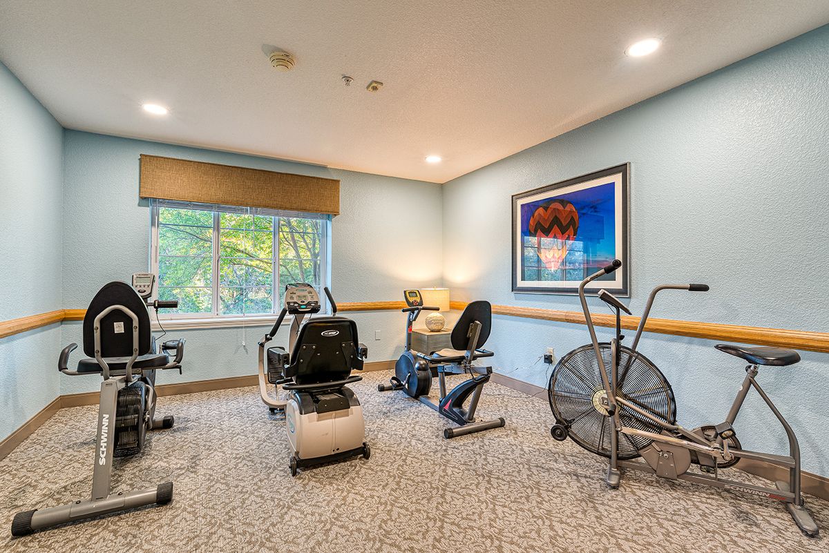A well-lit gym room equipped with various exercise machines and stationary bikes, featuring a large window with a scenic view.