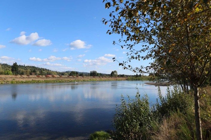 A serene view of a river with trees lining the bank under a blue sky.