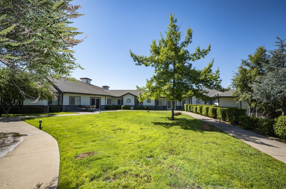 A view of a building with a well-maintained lawn and a tree under a clear blue sky.