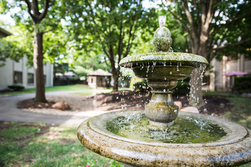 A serene garden fountain surrounded by lush greenery.