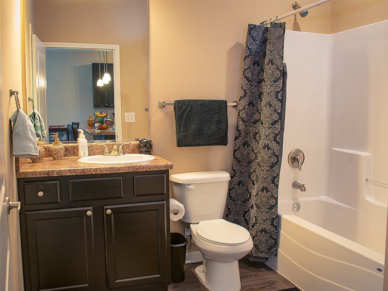 A modern bathroom with a vanity sink, toilet, and shower area.