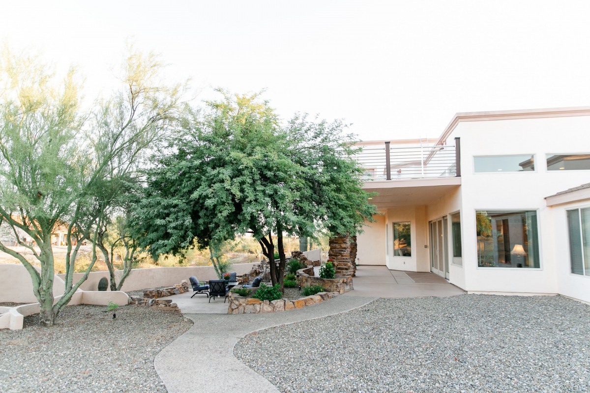 A modern house with a garden featuring trees and a gravel path on a sunny day.