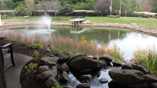 A serene view of a pond with a fountain, surrounded by lush greenery and smooth rocks.