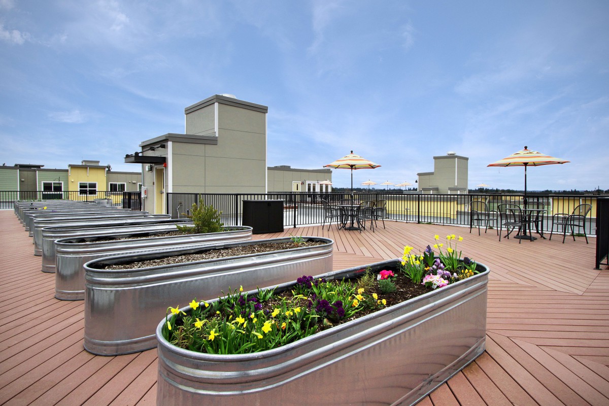 A rooftop garden with planter boxes and seating area on a deck under a clear sky.