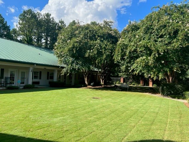A well-maintained lawn surrounded by trees and a house under a bright blue sky.
