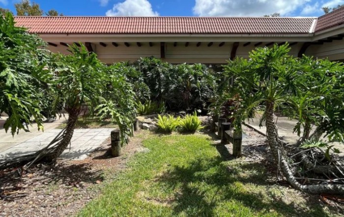 A lush garden pathway lined with palm trees under a sunny sky.