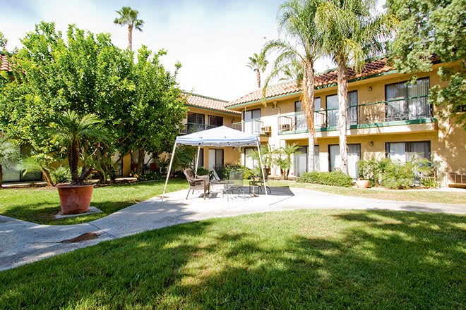 A sunny courtyard with palm trees and outdoor seating under a canopy.