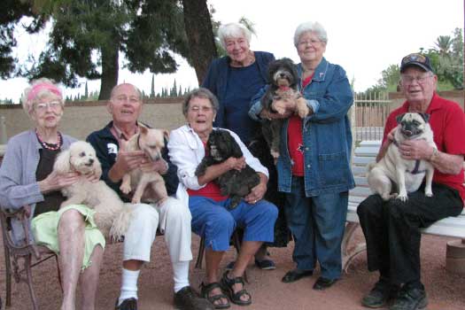 A group of elderly people sitting and standing with their dogs in a park setting.
