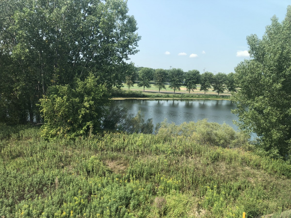 A serene landscape featuring a small lake surrounded by trees and lush greenery.