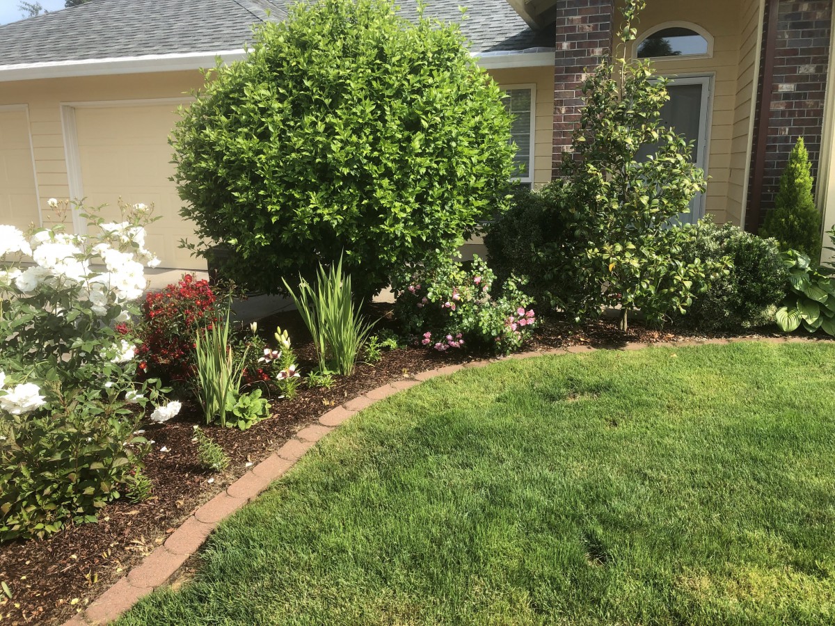 Best Care Adult Family Home