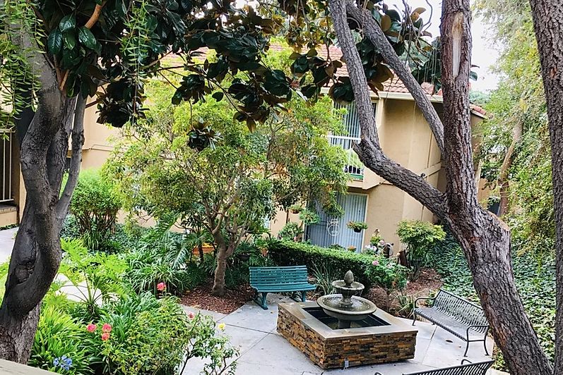 A peaceful garden setting with a central fountain, surrounded by lush trees and greenery, accompanied by a bench for relaxation.