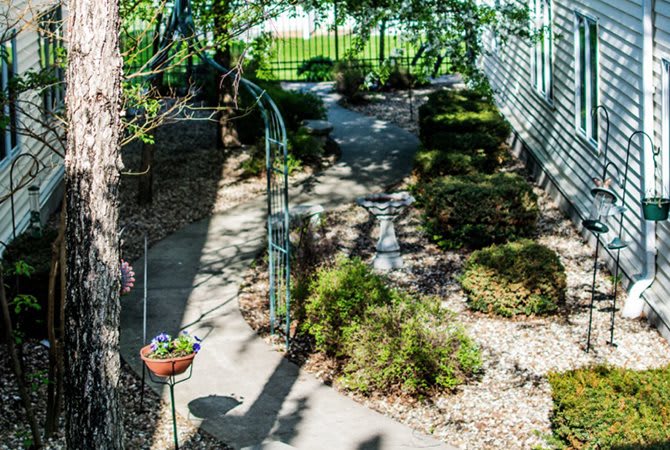 A shaded garden pathway surrounded by greenery and decorative shrubs.