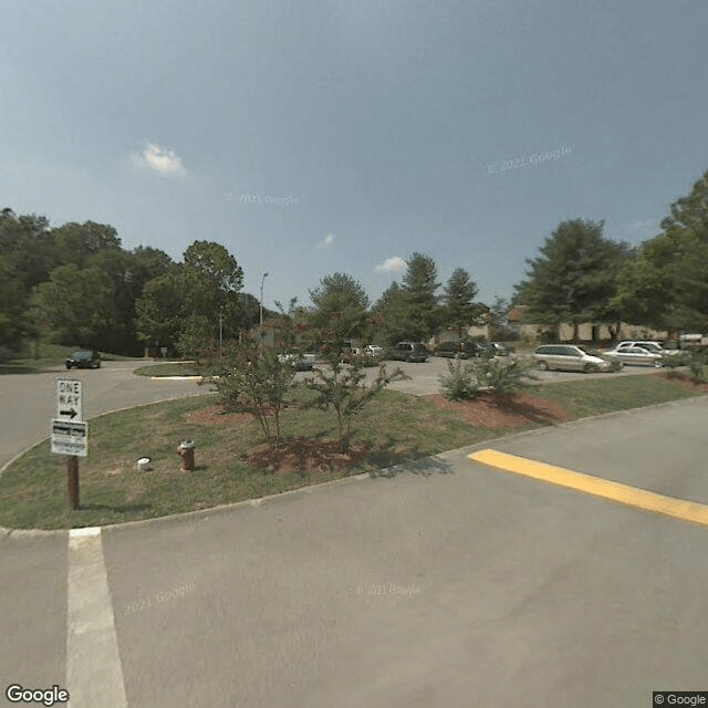 The Pines