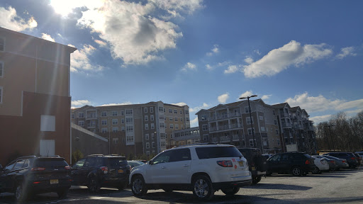 A sunny day in a busy parking lot with cars parked and buildings in the background.