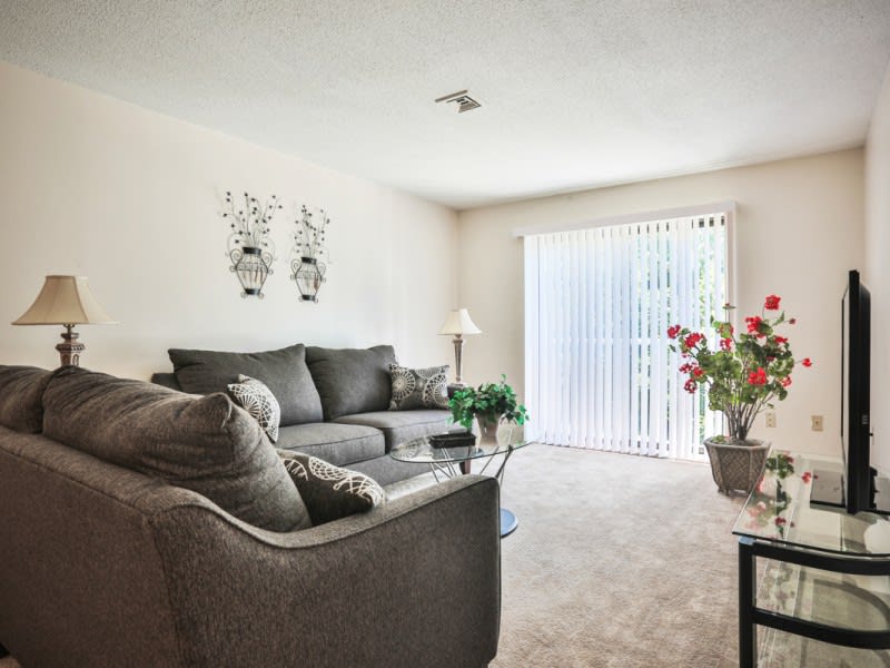 A cozy living room with a comfortable sofa and abundant natural light.