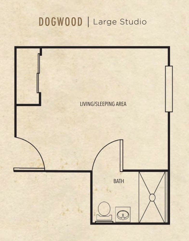 Studio apartment floor plan with a combined living and sleeping area, and an attached bathroom.