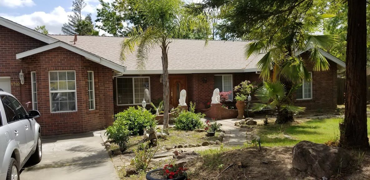 A single-story house with a landscaped front garden featuring various plants and trees.