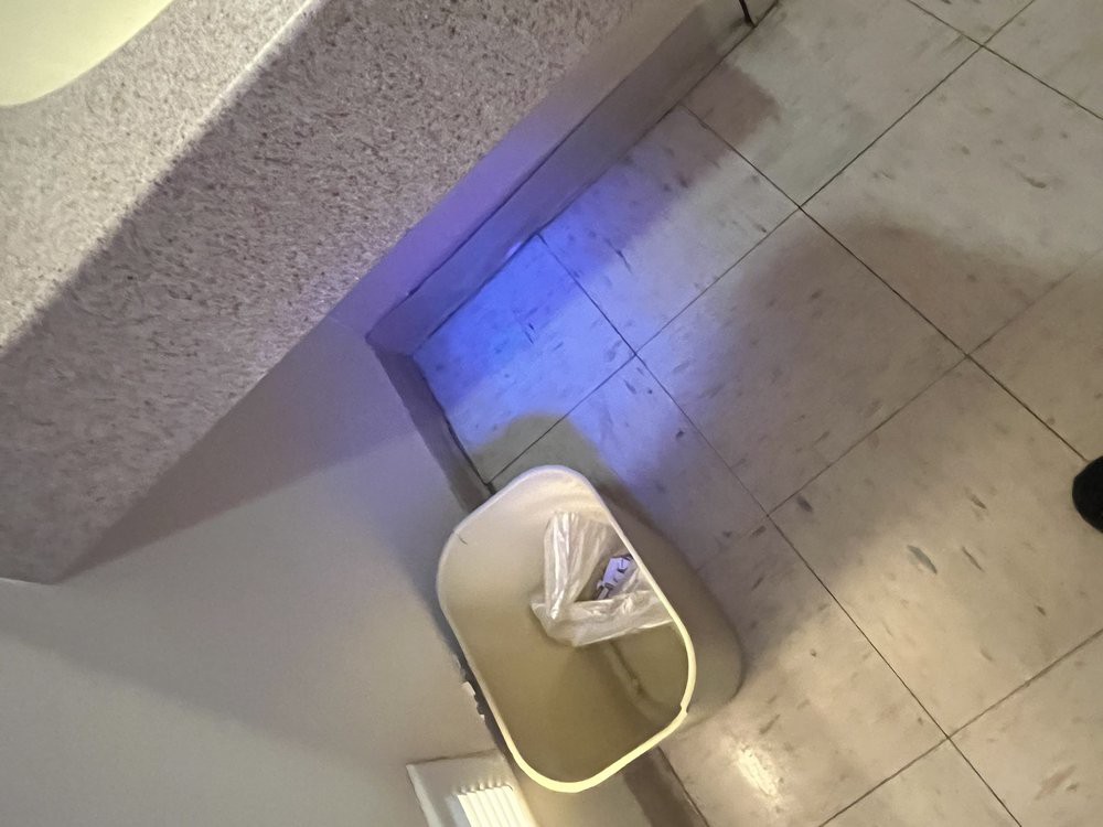 A bathroom corner with a trash can under a glowing blue light.