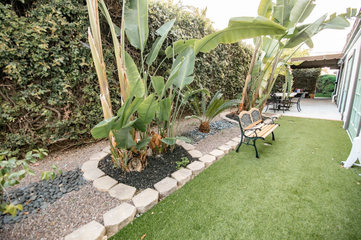 A well-maintained garden with tropical plants, a stone pathway, and a bench.