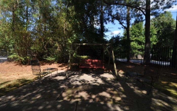 A peaceful garden swing surrounded by trees, offering a shaded retreat on a sunny day.