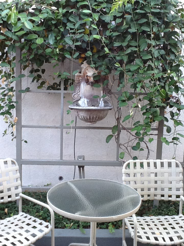 A quaint outdoor seating area with a small wall fountain surrounded by ivy.