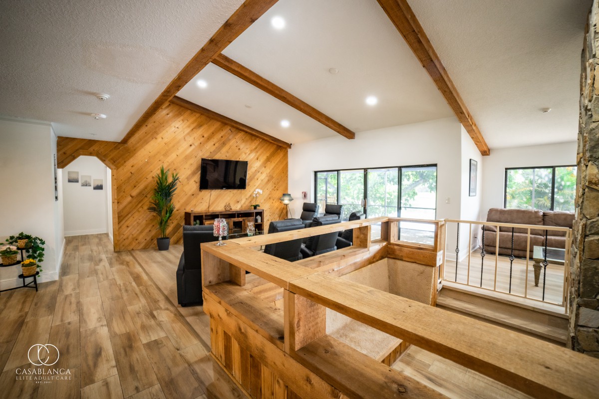 A modern living room featuring wood paneling, a vaulted ceiling, and large windows creating an inviting open space.