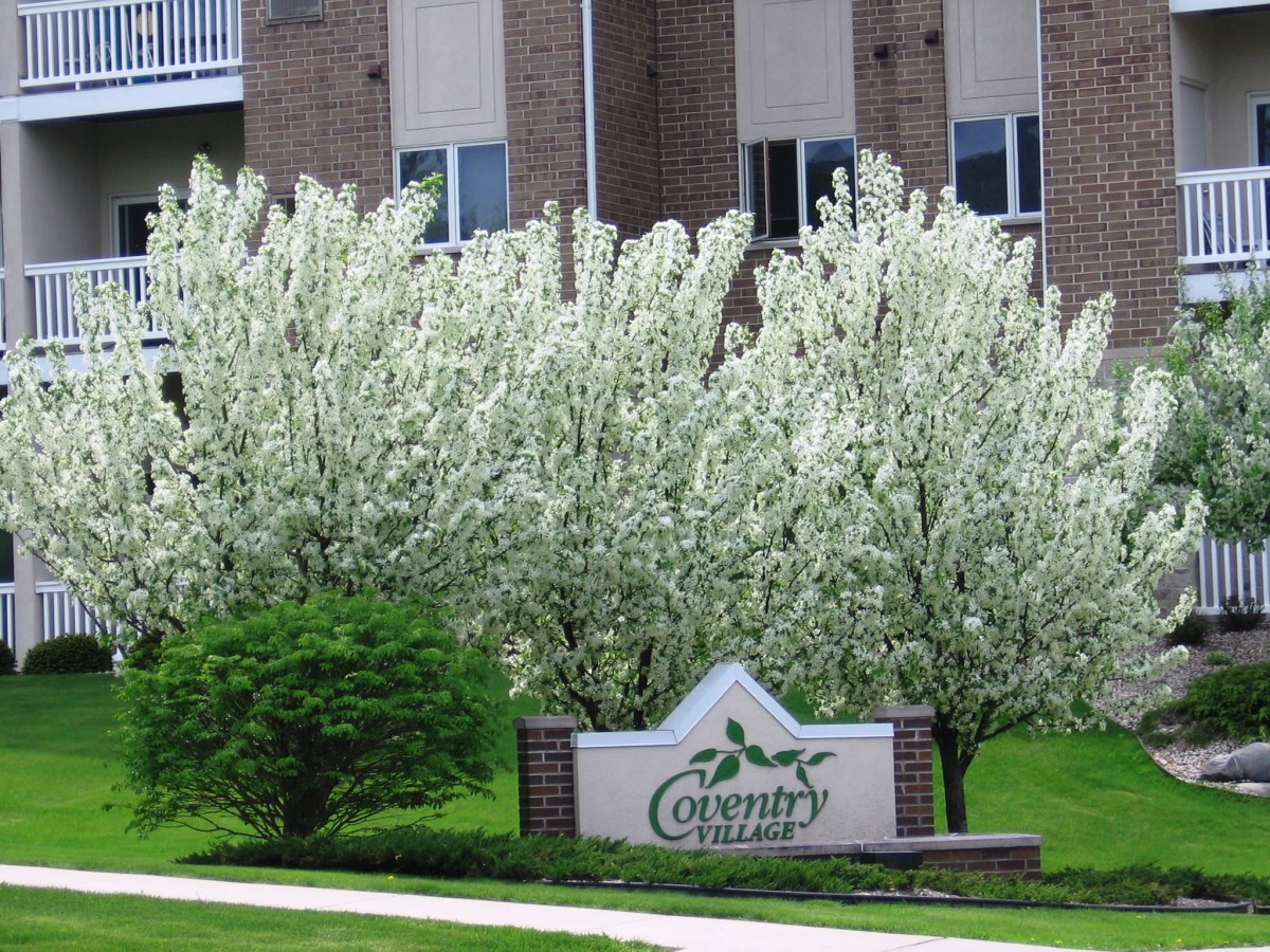 Blossoming trees in front of an apartment complex sign.