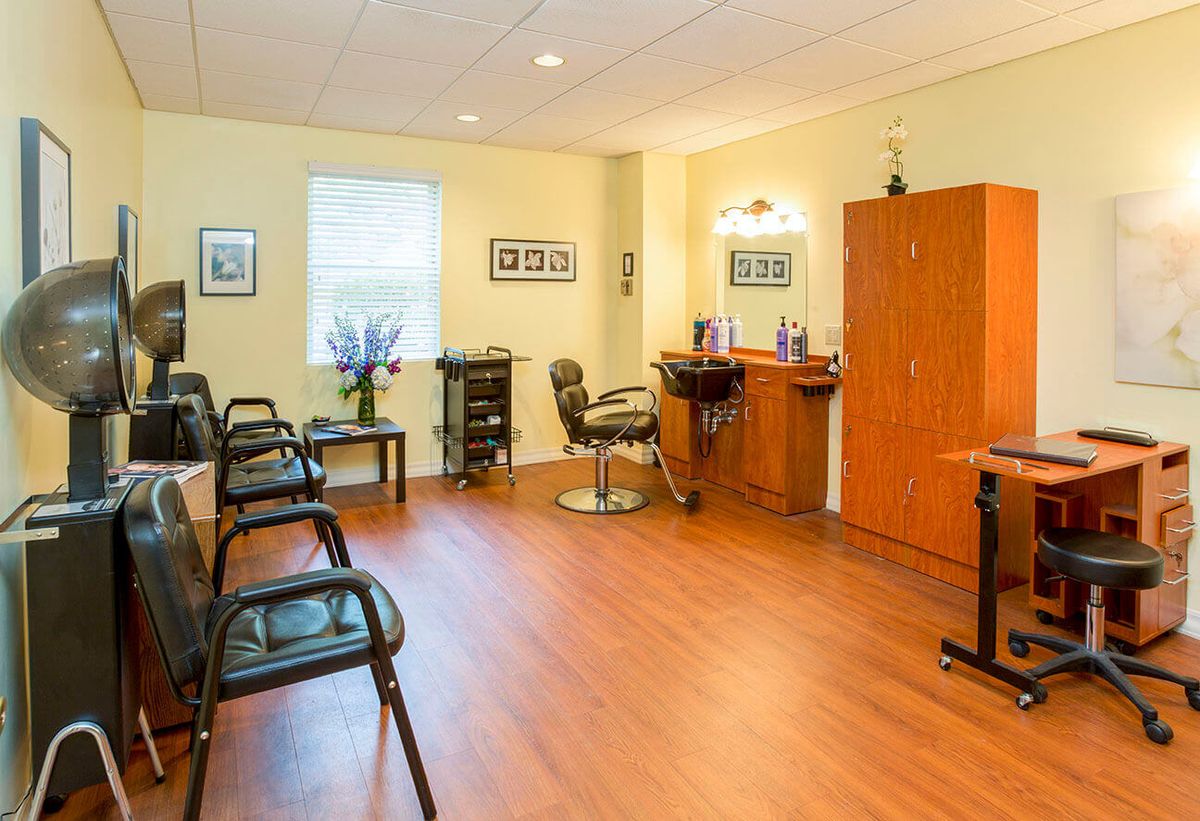 A well-organized hair salon interior with chairs, mirrors, and stylish decor.