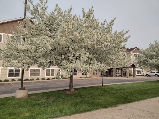 A blooming tree in a residential area, showcasing vibrant blossoms in spring.