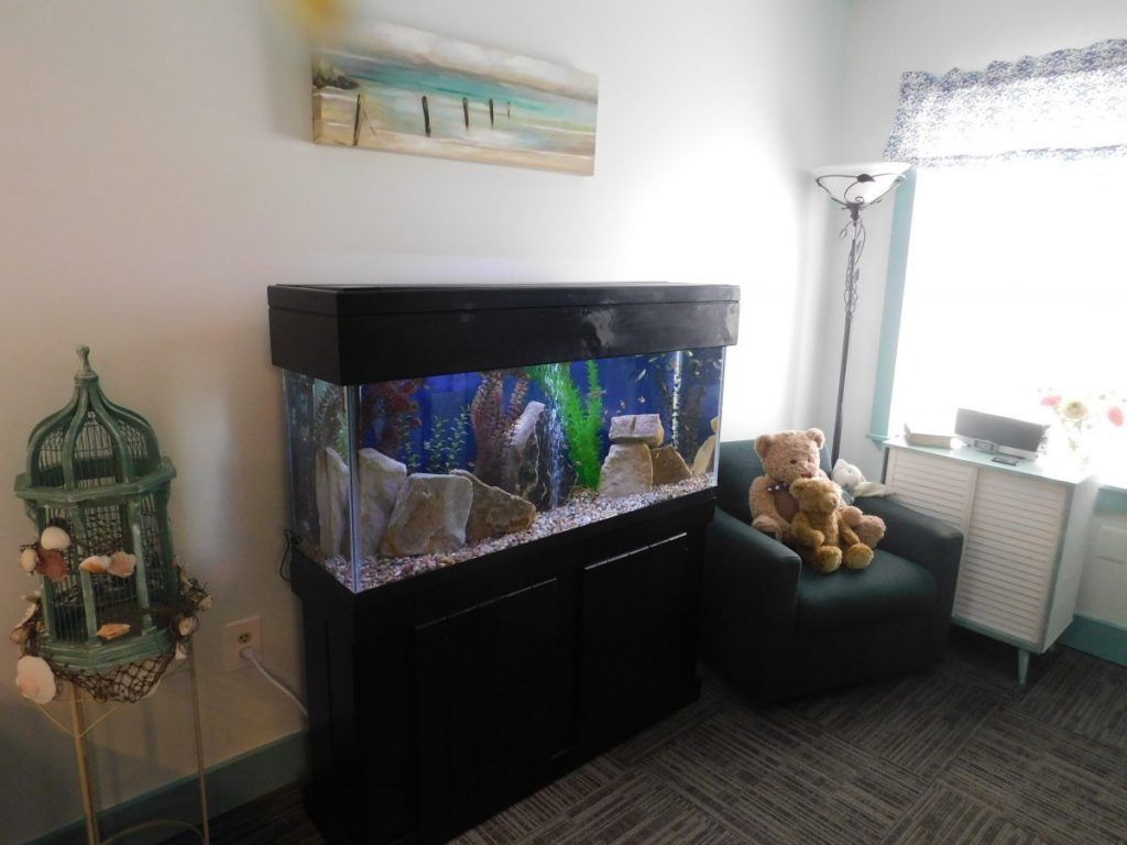 A cozy living room featuring a large aquarium and a comfortable chair with a stuffed animal.