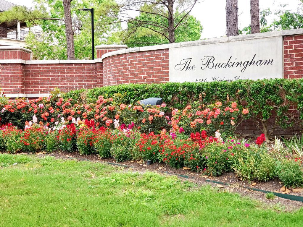 The Buckingham