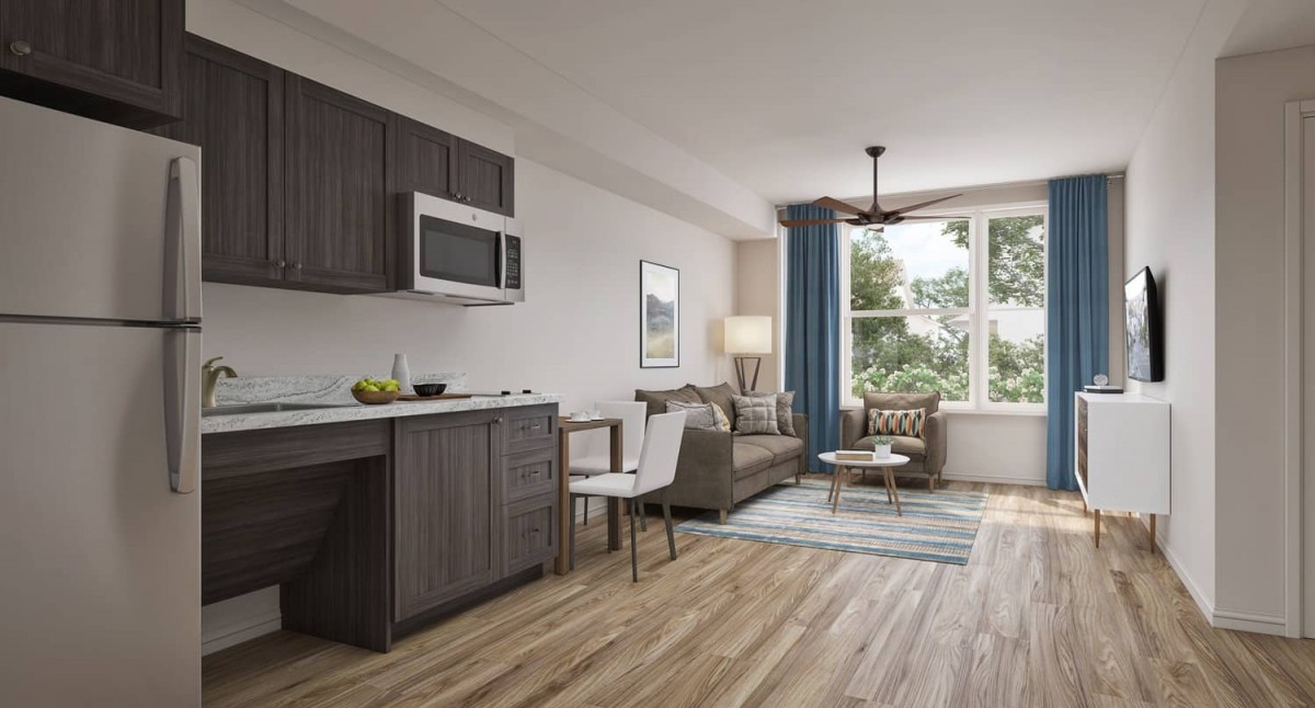 A modern open-plan living room and kitchen with wood flooring and contemporary furnishings.