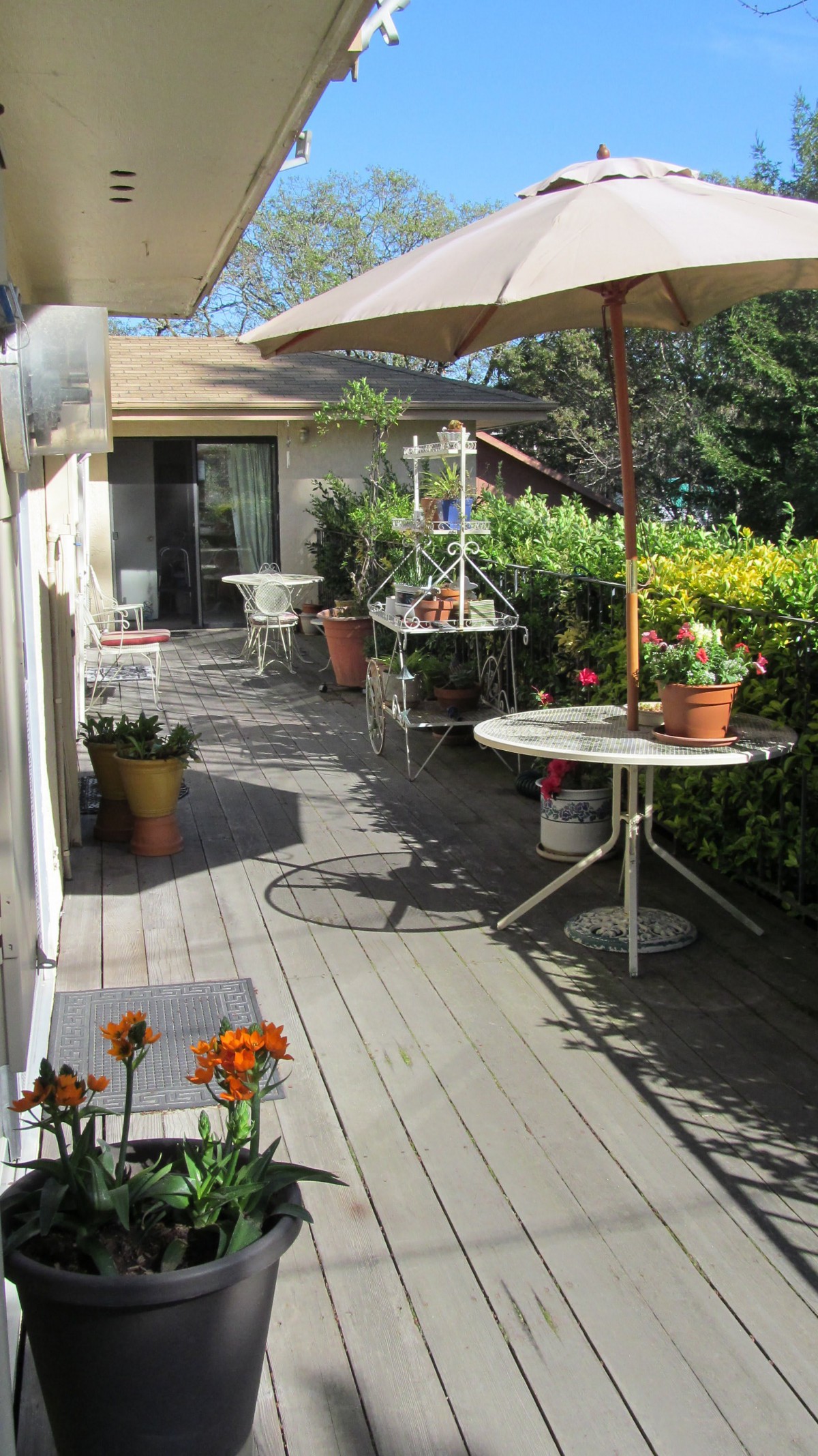 All Seasons Residential Care Facility for the Elderly
