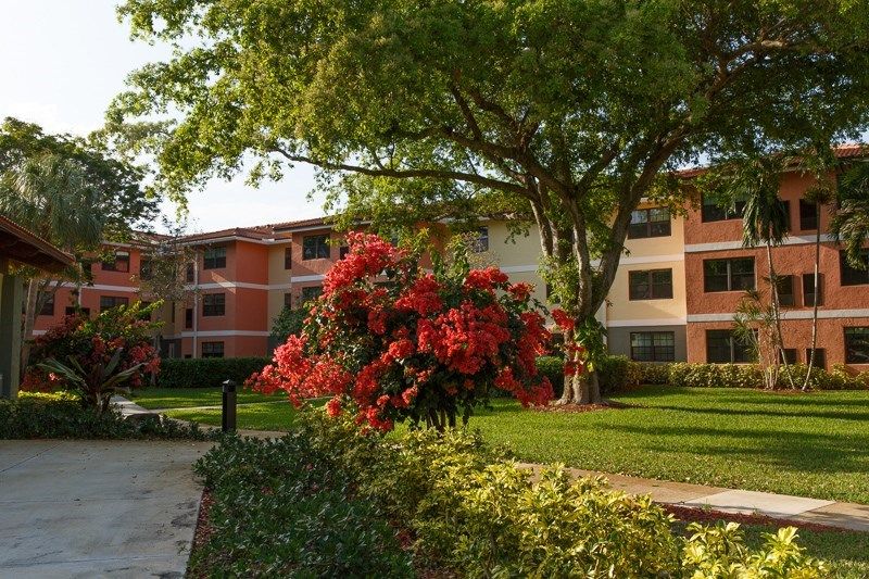 A scenic garden with vibrant flowers and a large tree in front of a residential building.