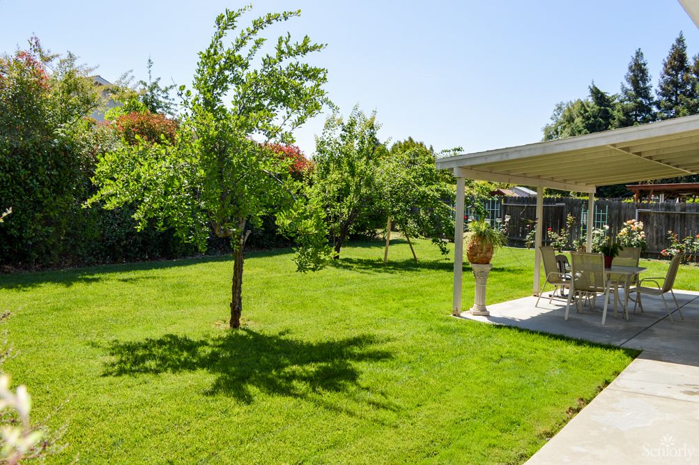 A sunny backyard garden with a well-maintained lawn, several trees, and a patio area.