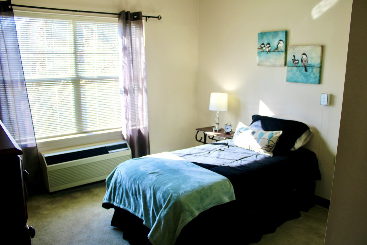 A cozy bedroom with a single bed, lamp, and window providing natural light.