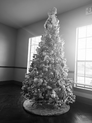 A beautifully decorated Christmas tree stands in a bright room.
